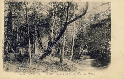 Carte postale ancienne Chartres CJF — Chartres (Eure-et-Loir)