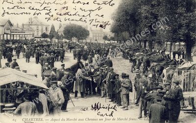 Carte postale ancienne Aspect du Marché aux Chevaux un Jour de Marché franc — Chartres (Eure-et-Loir)