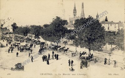 Carte postale ancienne Le Marché aux Chevaux — Chartres (Eure-et-Loir)