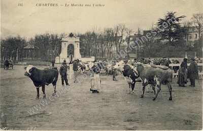 Carte postale ancienne Le Marché aux Vaches — Chartres (Eure-et-Loir)