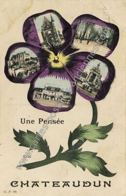 Carte postale ancienne Une Pensée — Châteaudun (Eure-et-Loir)