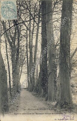 Carte postale ancienne Platanes centenaires de l'Ancienne Abbaye — Coulombs (Eure-et-Loir)
