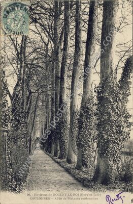 Carte postale ancienne Allée de Platanes centenaires — Coulombs (Eure-et-Loir)
