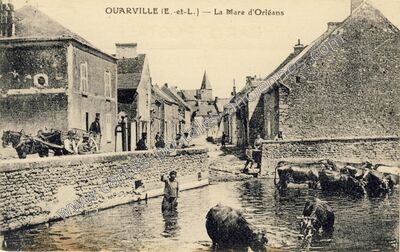 Carte postale ancienne La Mare d'Orléans — Ouarville (Eure-et-Loir)