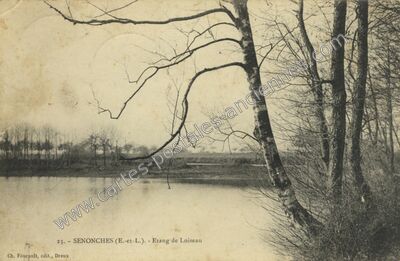 Carte postale ancienne Etang de Loiseau — Senonches (Eure-et-Loir)