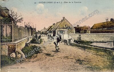 Carte postale ancienne Chene Chenu — Tremblay-les-Villages (Eure-et-Loir)