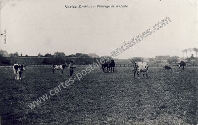 Carte postale ancienne Pâturage de la Conie — Varize (Eure-et-Loir)