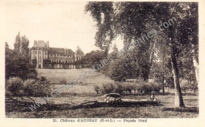 Carte postale ancienne Chateau d'Auneau — Auneau (Eure-et-Loir)