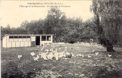 Carte postale ancienne L'Élevage de la Bastannière - Un Parquet de Pondenses — Berchères-sur-Vesgre (Eure-et-Loir)