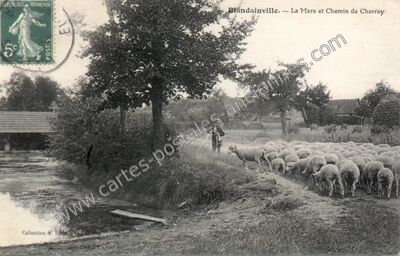 Carte postale ancienne La Mare et Chemin de Charray — Blandainville (Eure-et-Loir)