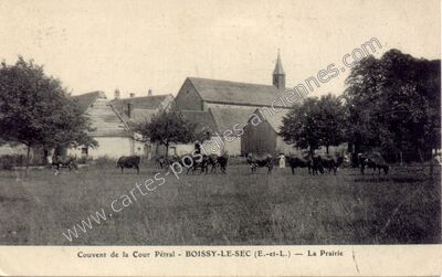 Carte postale ancienne Boissy le Sec — Boissy-lès-Perche (Eure-et-Loir)