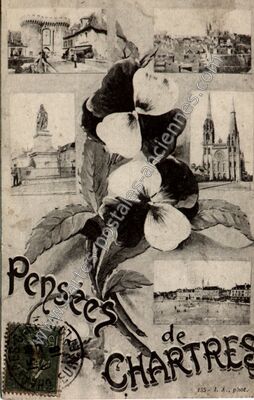 Carte postale ancienne Pensées — Chartres (Eure-et-Loir)