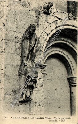 Carte postale ancienne Cathédrale de Chartres. - L'Âne qui veille (détail) — Chartres (Eure-et-Loir)