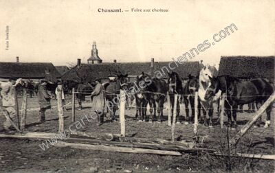 Carte postale ancienne Foire aux chevaux — Chassant (Eure-et-Loir)