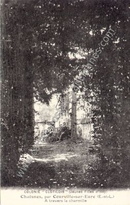 Carte postale ancienne Colonie "Clotildis" (Jeunes Filles d'Issy) A travers la charmille — Chuisnes (Eure-et-Loir)