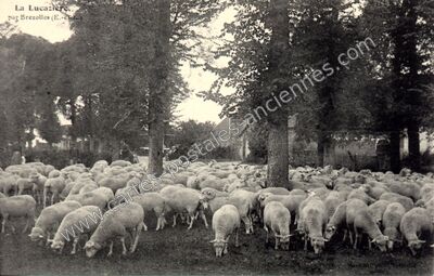 Carte postale ancienne La Lucaziere — Crucey-Villages (Eure-et-Loir)