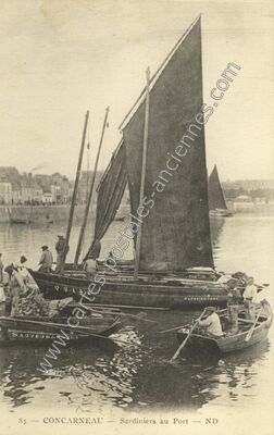 Carte postale ancienne Sardiniers au Port — Concarneau (Finistère)