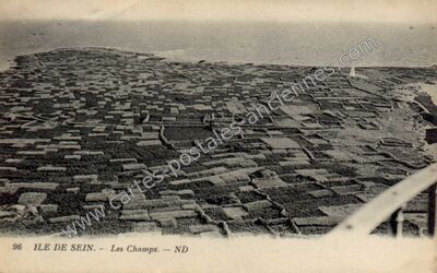 Carte postale ancienne Les Champs — Île-de-Sein (Finistère)