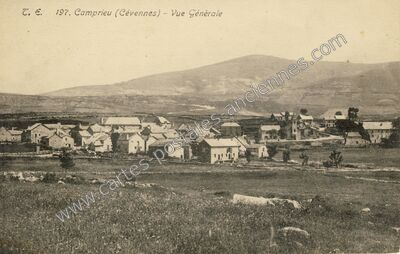 Carte postale ancienne Camprieu — Saint-Sauveur-Camprieu (Gard)