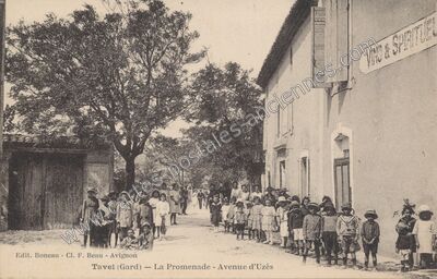 Carte postale ancienne La Promenade - Avenue d'Uzès — Tavel (Gard)