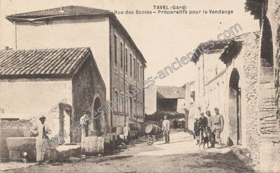Carte postale ancienne Rue des Ecoles - Préparatifs pour la Vendange — Tavel (Gard)