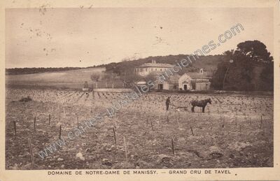 Carte postale ancienne Domaine de Notre-Dame de Manissy — Tavel (Gard)