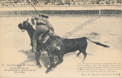 Carte postale ancienne Corrida de Toros — Nîmes (Gard)