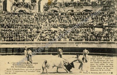 Carte postale ancienne La Corrida de Toros — Nîmes (Gard)