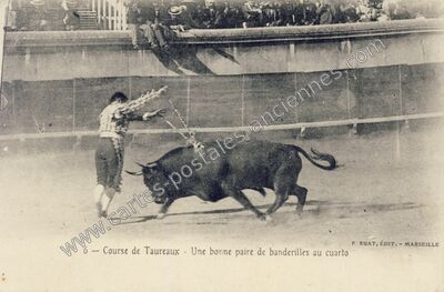 Carte postale ancienne Course de Taureaux — Non Localisée (Gard)