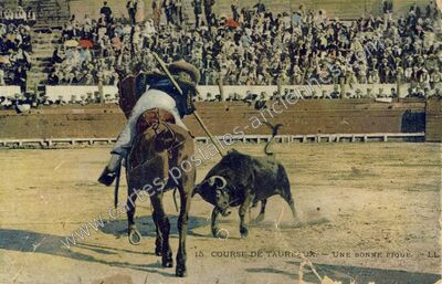 Carte postale ancienne Course de Taureaux — Non Localisée (Gard)