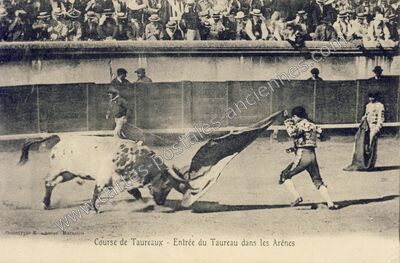 Carte postale ancienne Course de Taureaux — Non Localisée (Gard)