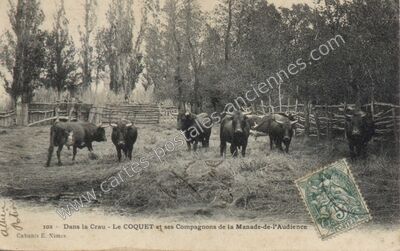 Carte postale ancienne la manade de l'audience — Non Localisée (Gard)