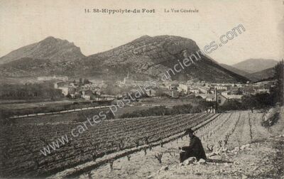 Carte postale ancienne La Vue Générale — Saint-Hippolyte-du-Fort (Gard)