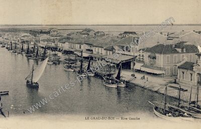 Carte postale ancienne Rive Gauche — Le Grau-du-Roi (Gard)