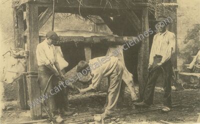 Carte postale ancienne Travaux en Plein Air — Non Localisée (Indre)