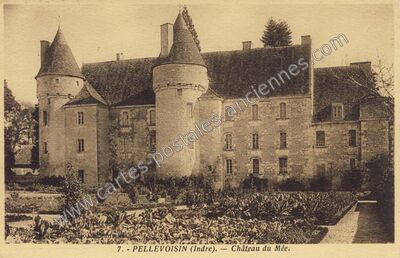 Carte postale ancienne Chateau du Mee — Pellevoisin (Indre)
