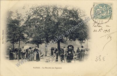 Carte postale ancienne Le Marché aux légumes — Vatan (Indre)