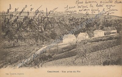 Carte postale ancienne Vue prise du Pin — Ceaulmont (Indre)