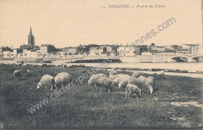 Carte postale ancienne Prairie des Filtres — Toulouse (Haute-Garonne)