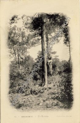 Carte postale ancienne Un Résinier — Arcachon (Gironde)