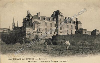 Carte postale ancienne Cadillac sur Garonne — Cadillac (Gironde)
