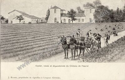 Carte postale ancienne Cuvier, caves et dépendances du Château de Fieural — Léognan (Gironde)