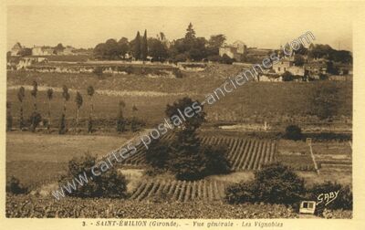 Carte postale ancienne Vue générale - Les Vignobles — Saint-Émilion (Gironde)