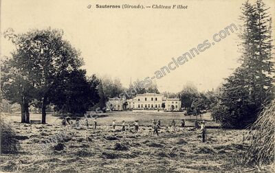 Carte postale ancienne Château F ilhot — Sauternes (Gironde)