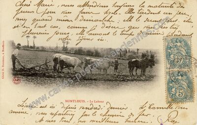 Carte postale ancienne Montlouis — Montlouis-sur-Loire (Indre-et-Loire)