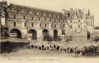 Carte postale ancienne Chenonceaux Ch — Chenonceaux (Indre-et-Loire)