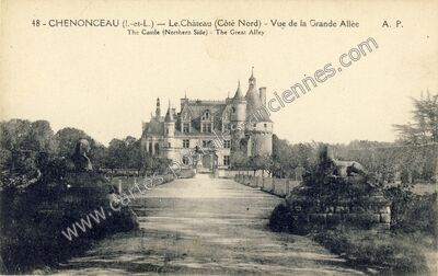 Carte postale ancienne Le Château (Côté Nord) - Vue de la Grande Allée — Chenonceaux (Indre-et-Loire)