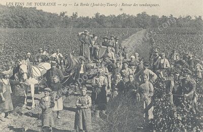 Carte postale ancienne La Borde — Joué-lès-Tours (Indre-et-Loire)