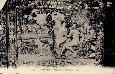 Carte postale ancienne Chateau de Langeais — Langeais (Indre-et-Loire)