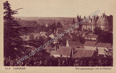 Carte postale ancienne Vue panoramique vers le Château — Langeais (Indre-et-Loire)